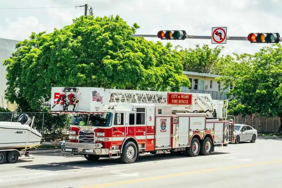 emergency tree service
