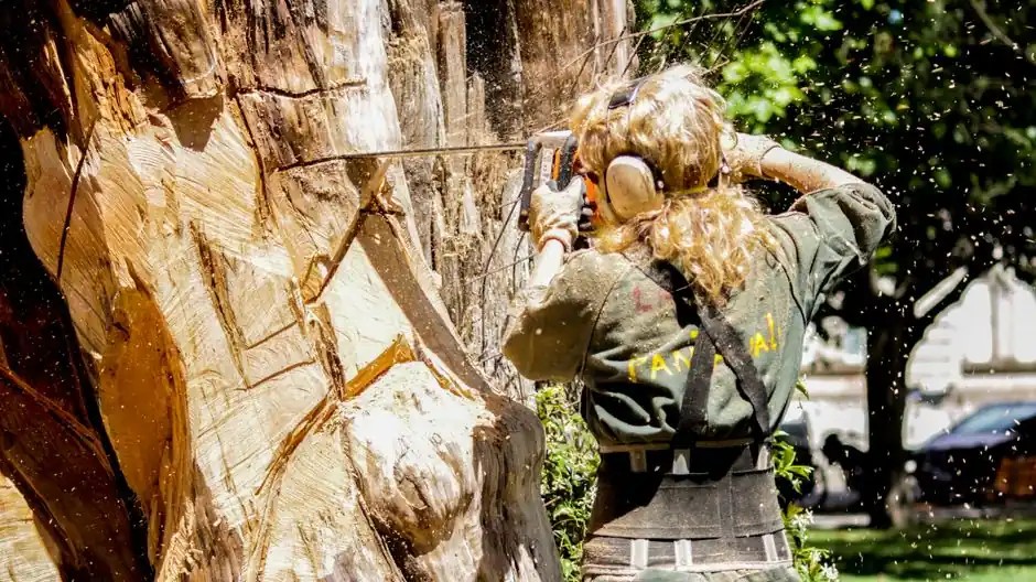 Benefits of Tree Removal Services